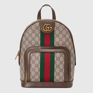 GG Supreme Ophidia Bag